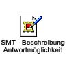 SMT-Beschreibung, Antwortmglichkeiten